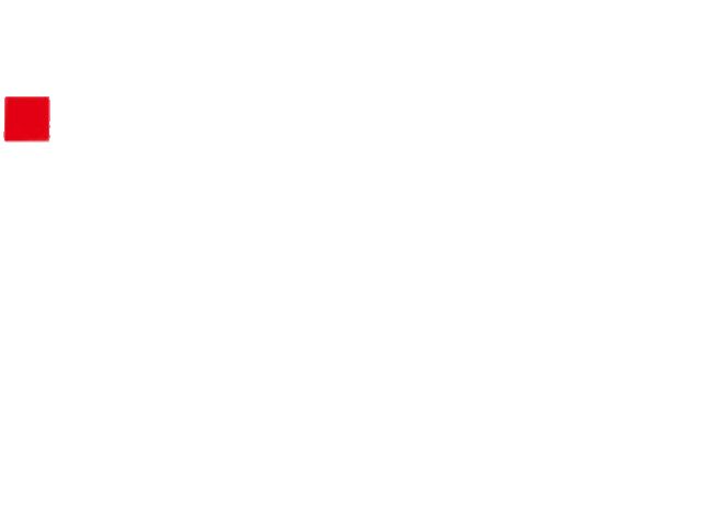 RDV Transports